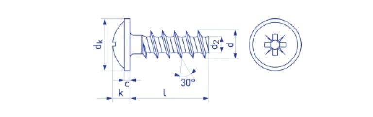 Wkręt do tworzyw z łbem walcowym soczewkowym Pozidriv PZ ocynk biały