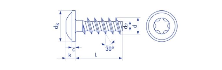 Wkręt do tworzyw z łbem walcowym soczewkowym Torx TX ocynk biały
