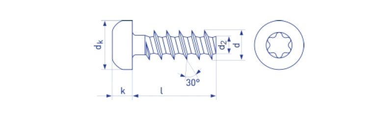 Wkręt do tworzyw z łbem walcowym Torx ocynk biały