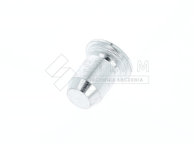 Kołki bez gwintu do metali T-TP - obrazek 2